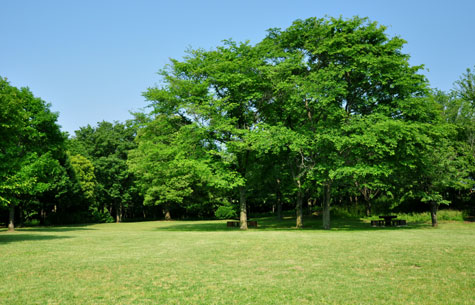 野鳥公園